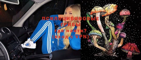 mix Белокуриха