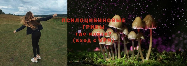 mix Белокуриха