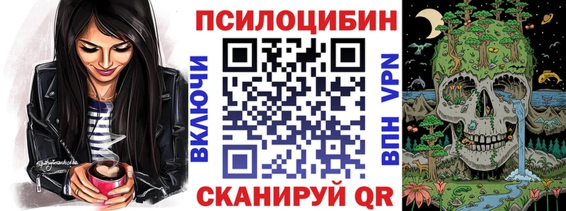 Галлюциногенные грибы MAGIC MUSHROOMS  сколько стоит  Шадринск 